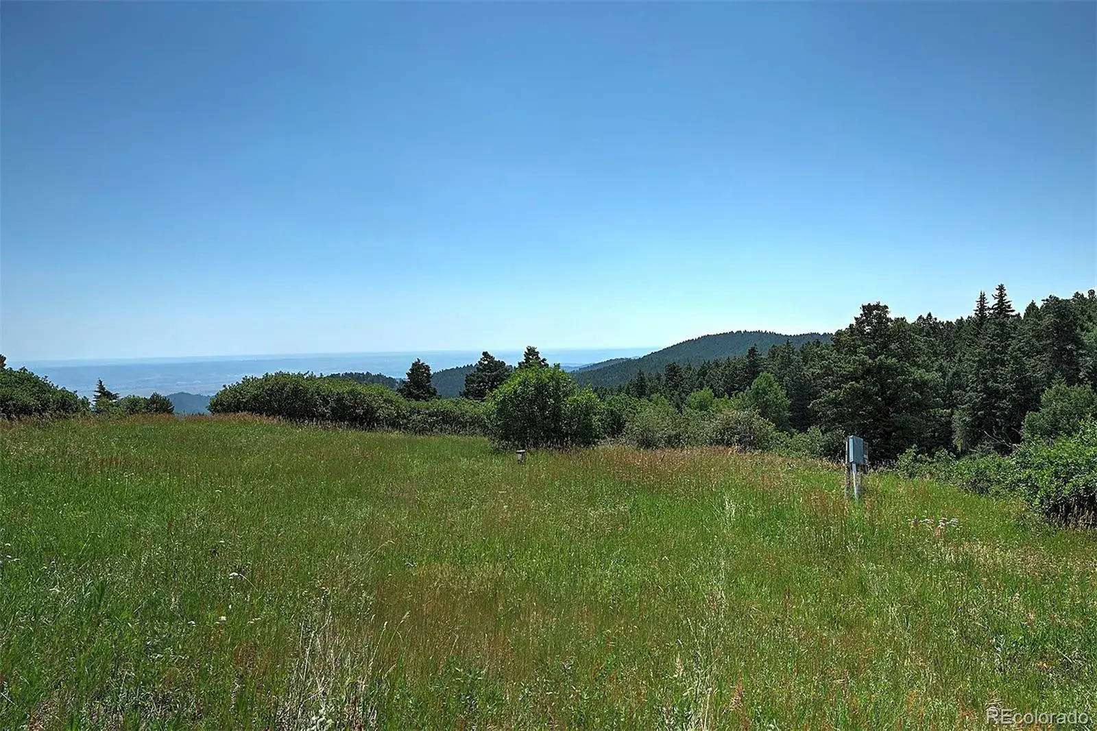 13884 N Trail Circle Littleton CO 80127 | MLS #REC3177567 07252025040752 1600 5