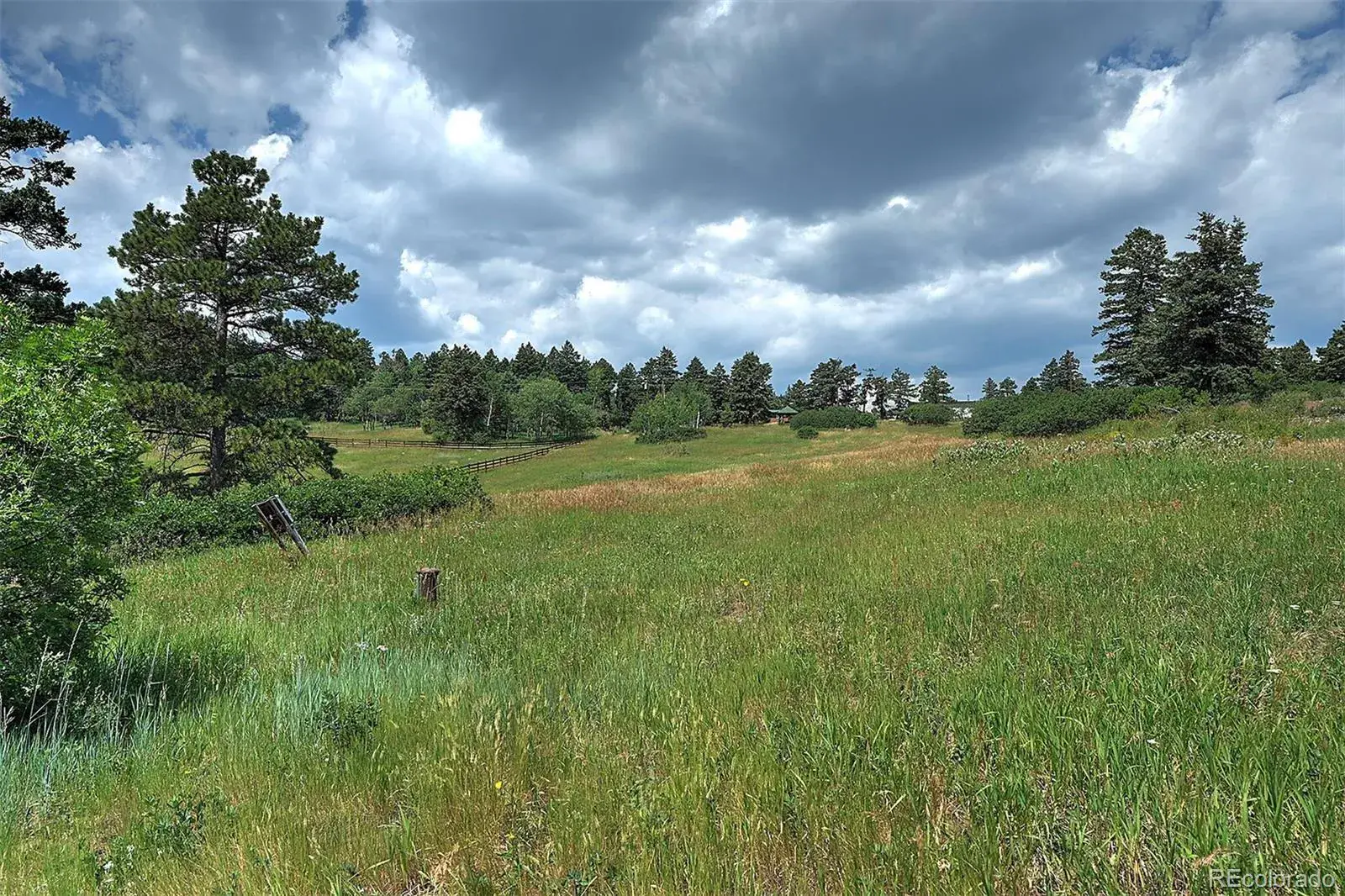 13884 N Trail Circle Littleton CO 80127 | MLS #REC3177567 07252025040752 1600 6