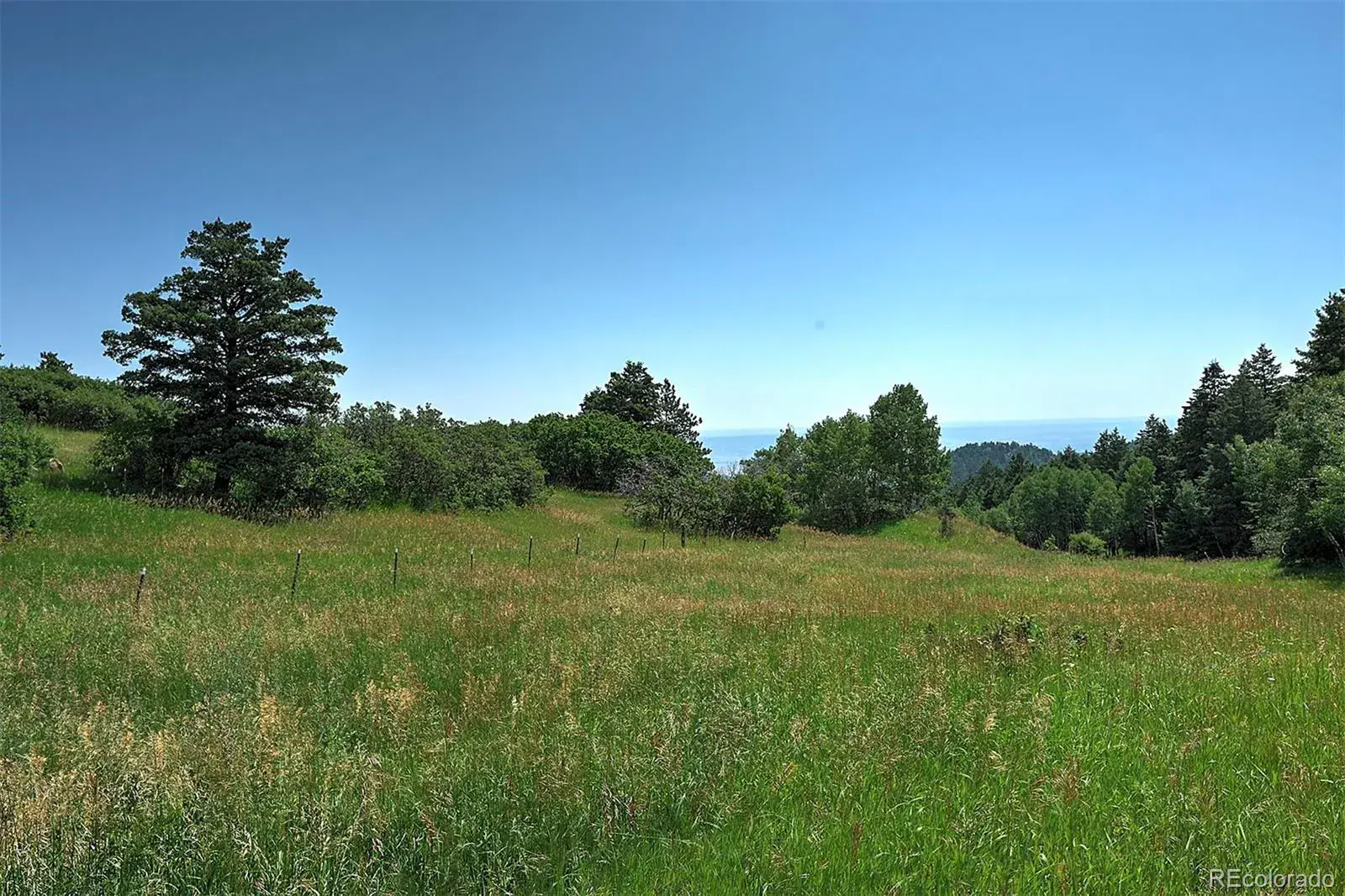 13884 N Trail Circle Littleton CO 80127 | MLS #REC3177567 07252025040752 1600 7