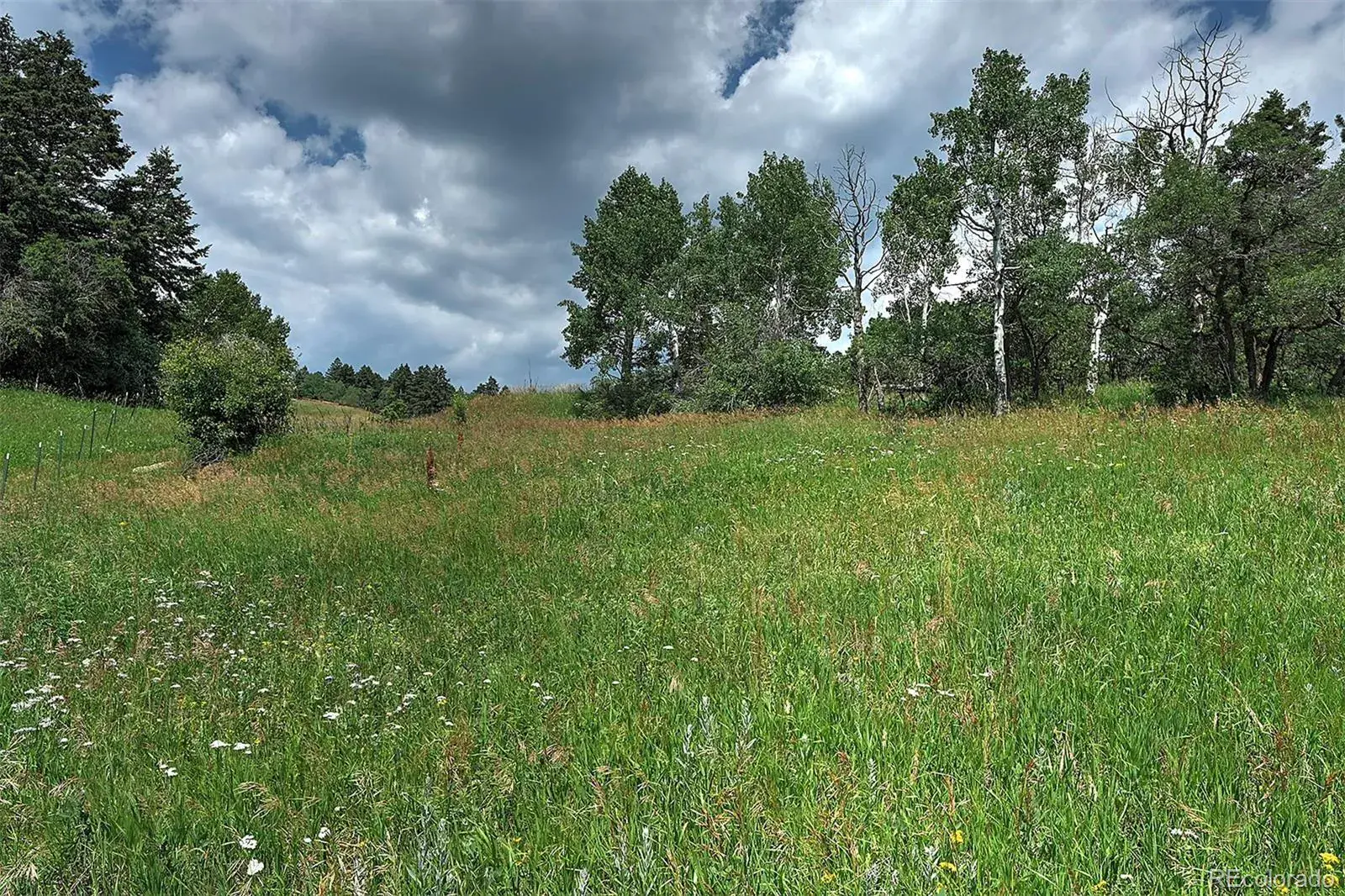 13884 N Trail Circle Littleton CO 80127 | MLS #REC3177567 07252025040752 1600 8