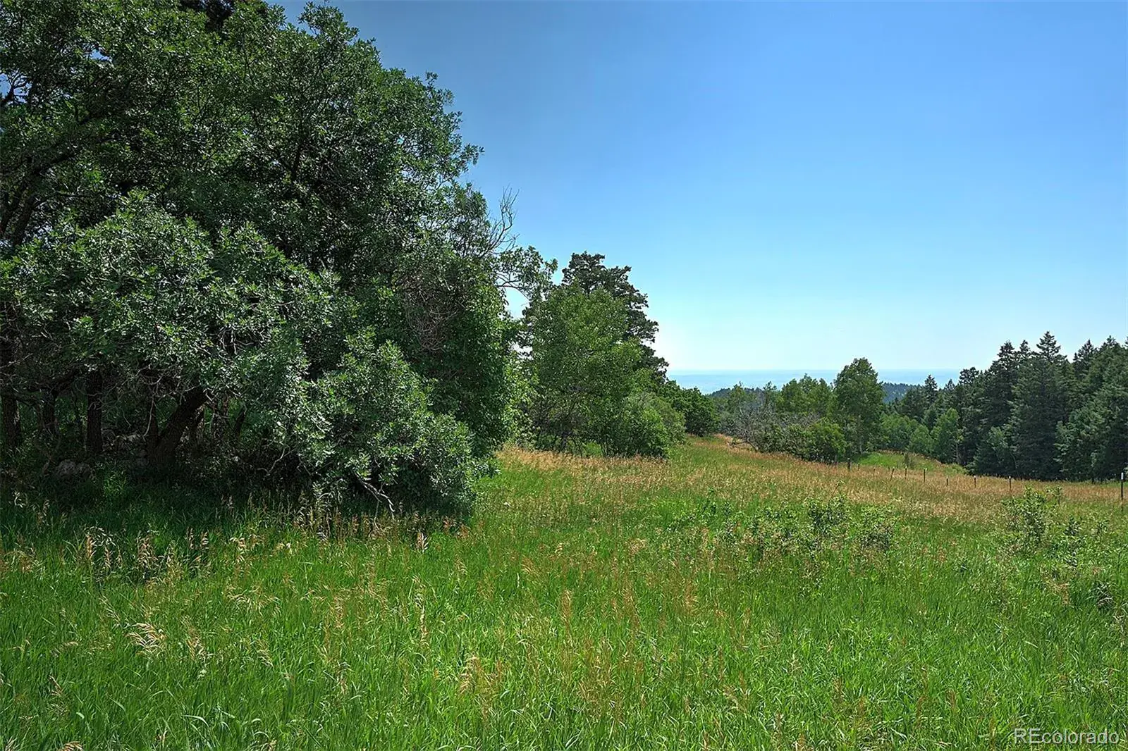 13884 N Trail Circle Littleton CO 80127 | MLS #REC3177567 07252025040752 1600 9