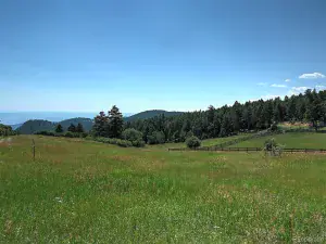 13884 N Trail Circle Littleton CO 80127 | MLS #REC3177567 07252025040752 300 0