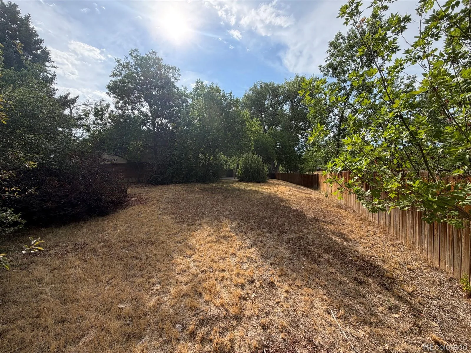 6218 S Cherry Circle Centennial CO 80121 | MLS #REC3178416 07292026172923 1600 3
