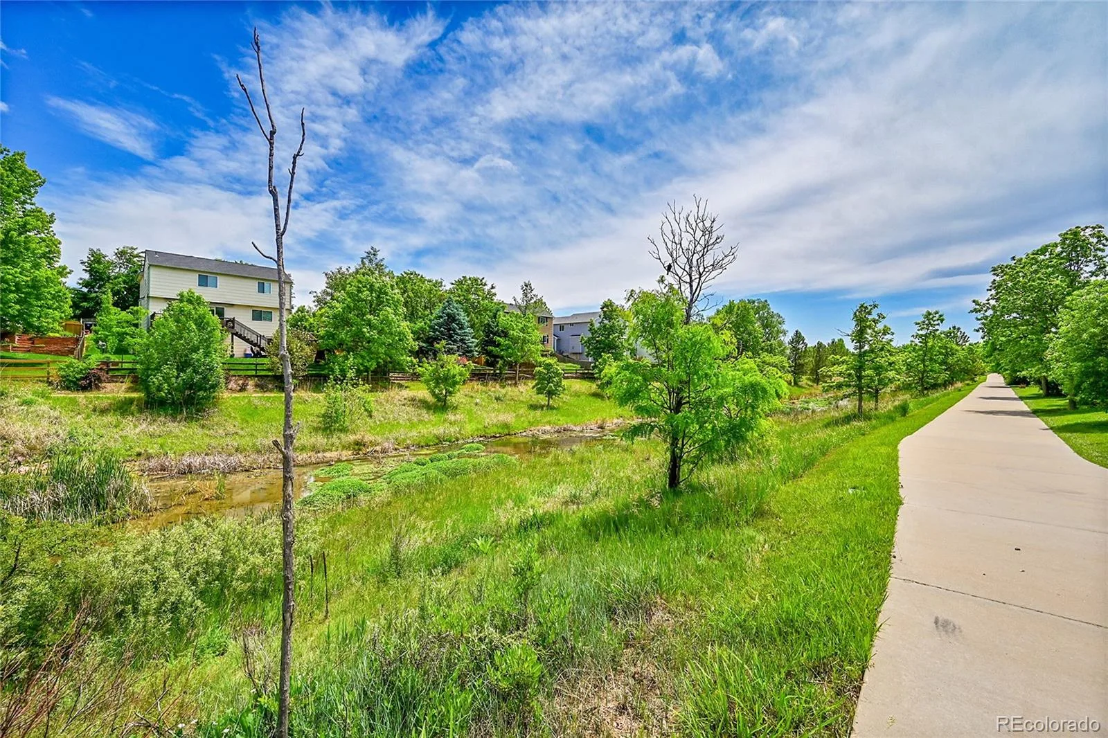 629 Bellingham Place Longmont CO 80504 MLS #REC3179645 06122026120327 1600 31