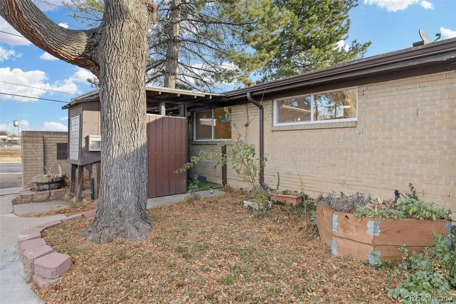 6504 W 14th Avenue Lakewood CO 80214 MLS #REC3184935 04292026021729 1600 2