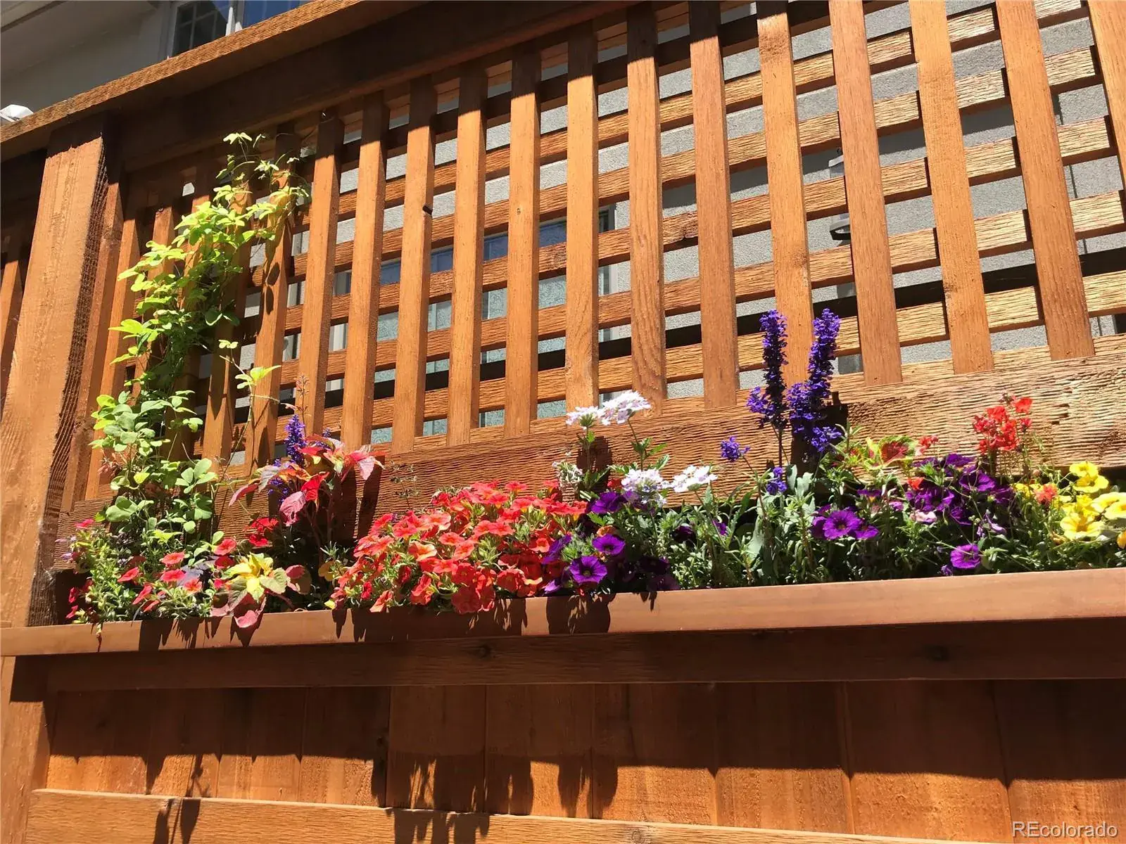 01292026164559 1600 7