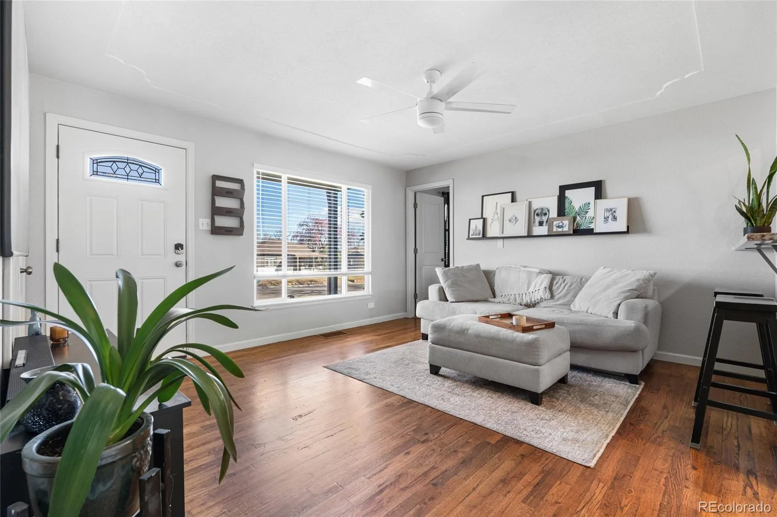 5075 Umatilla Street Denver CO 80221 MLS #REC3206657 06172026192647 1600 6