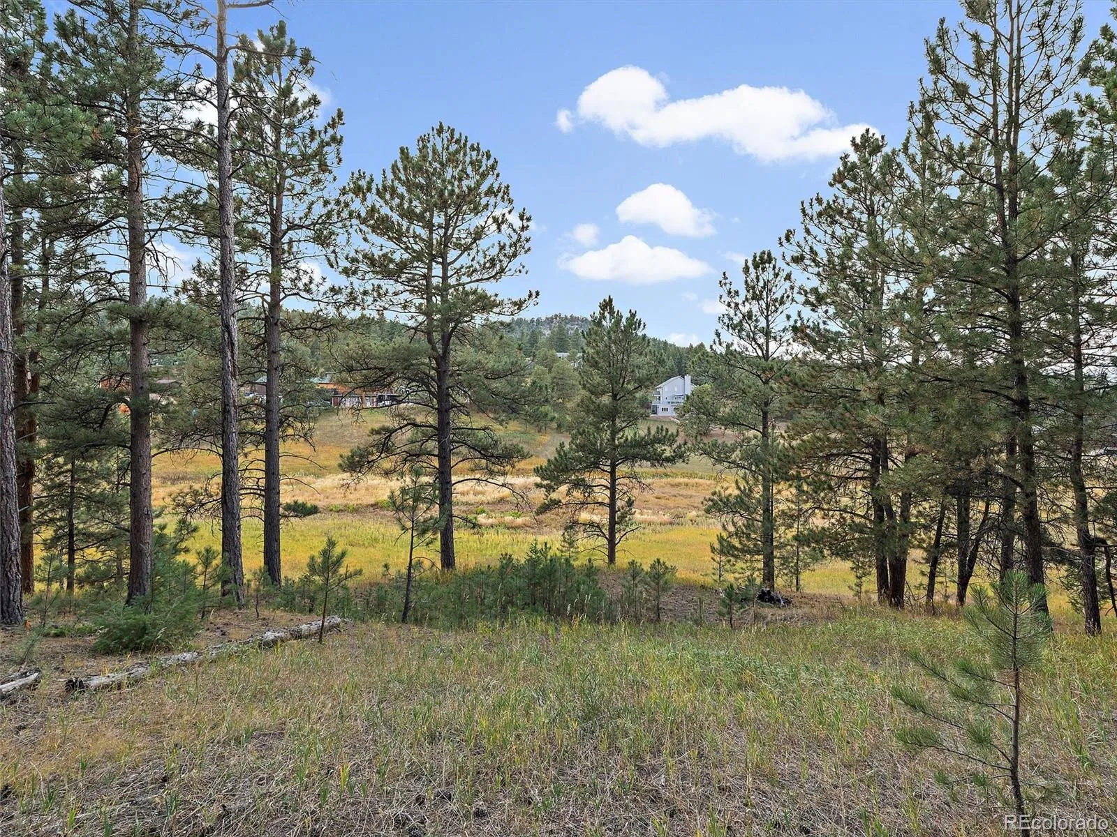 00 Cragmont Evergreen CO 80439 MLS #REC3207766 05092026031118 1600 11