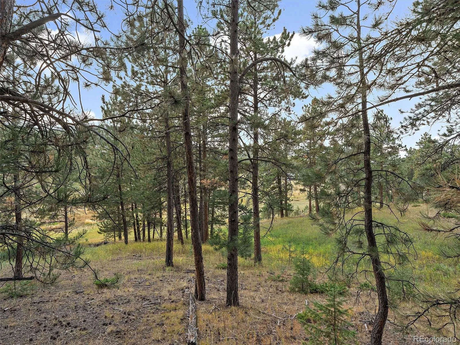 00 Cragmont Evergreen CO 80439 MLS #REC3207766 05092026031118 1600 13