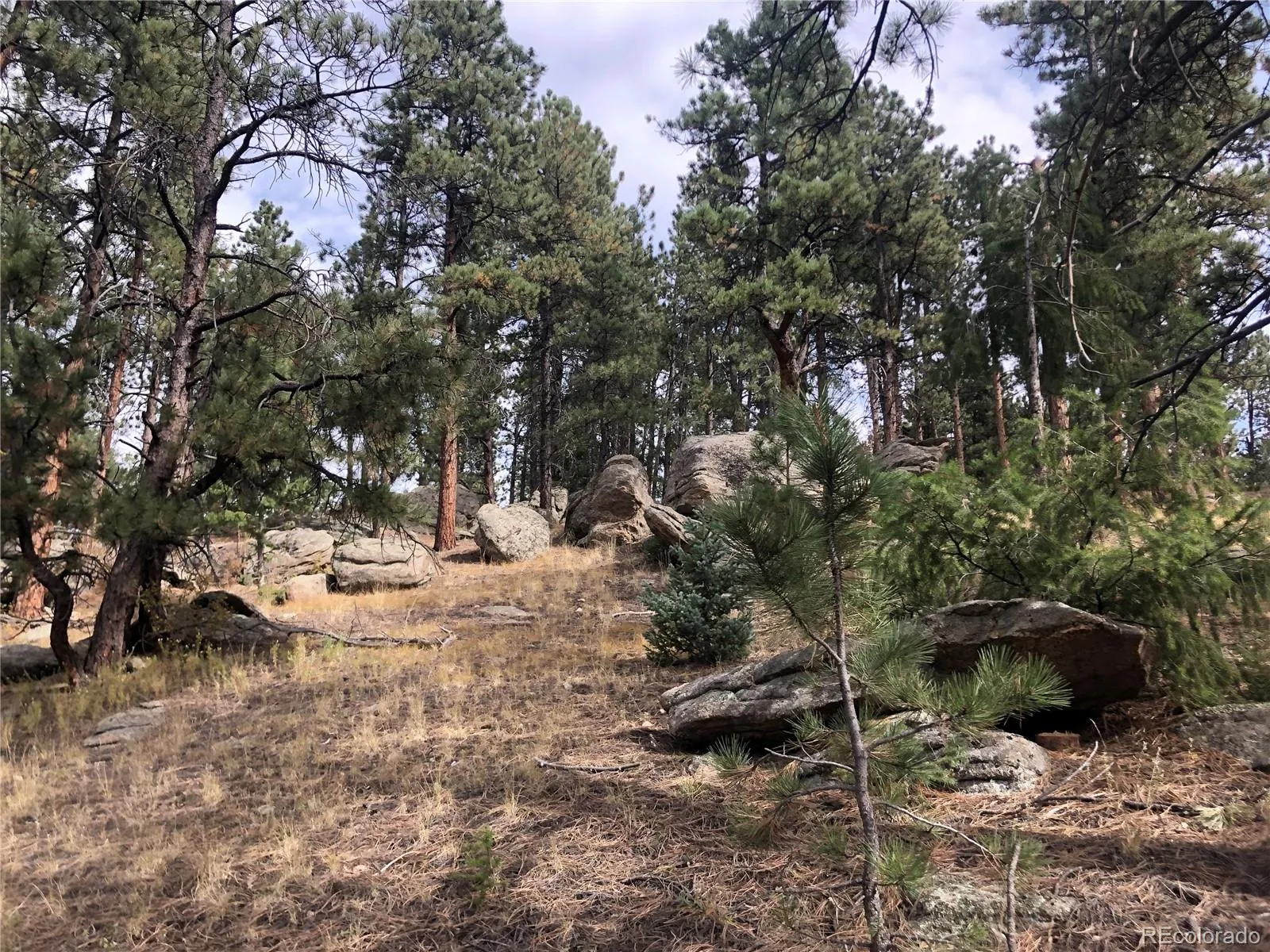 00 Cragmont Evergreen CO 80439 MLS #REC3207766 05092026031118 1600 18