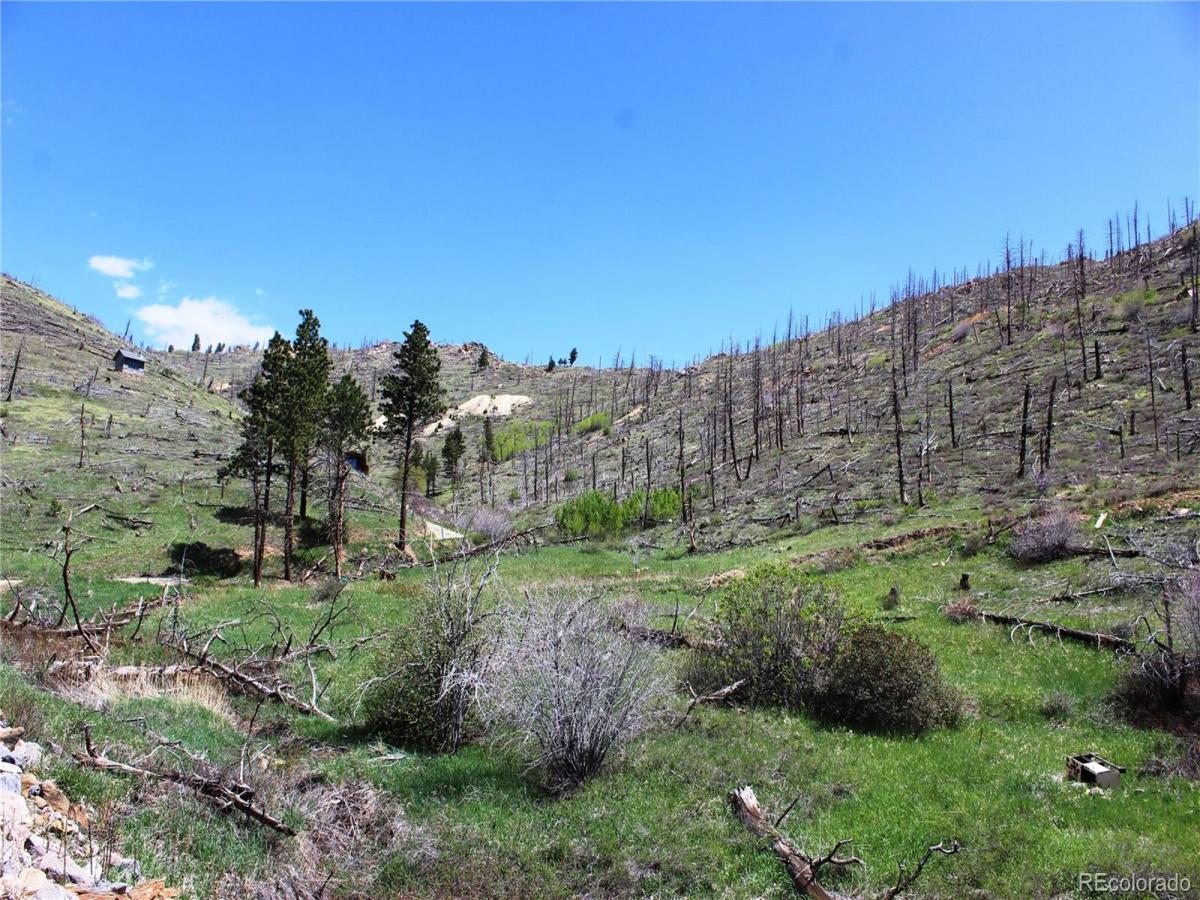 MLS #REC3210538 image #0