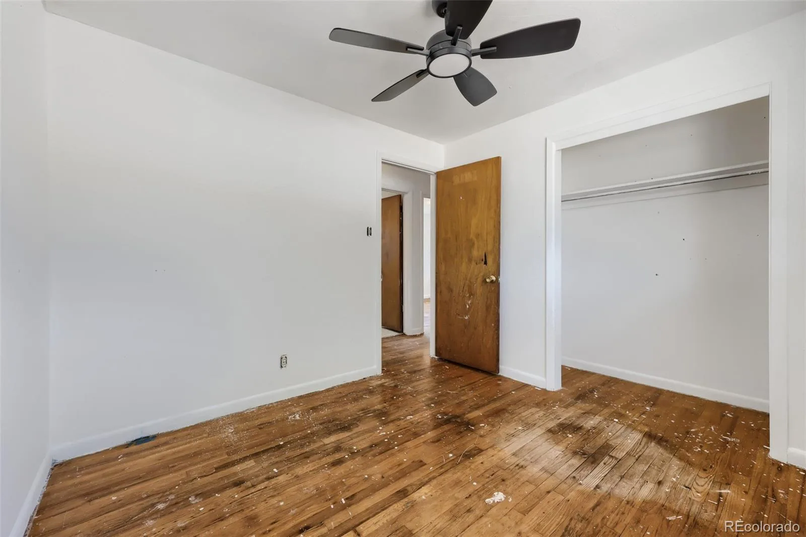 116 Ash Avenue Castle Rock CO 80104 | MLS #REC3211735 07242026013522 1600 10