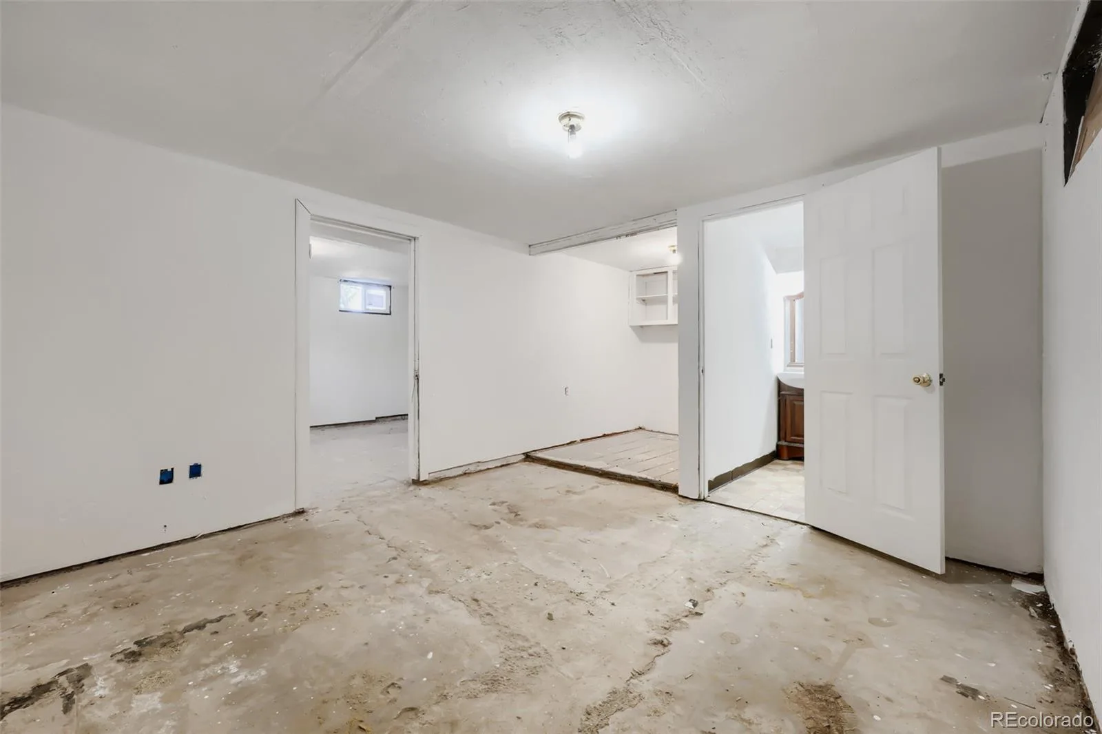 116 Ash Avenue Castle Rock CO 80104 | MLS #REC3211735 07242026013522 1600 20