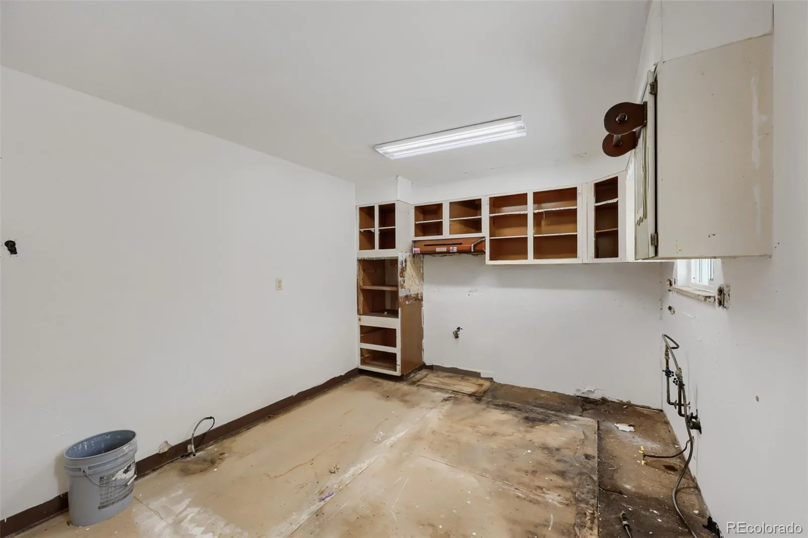 116 Ash Avenue Castle Rock CO 80104 | MLS #REC3211735 07242026013522 1600 6