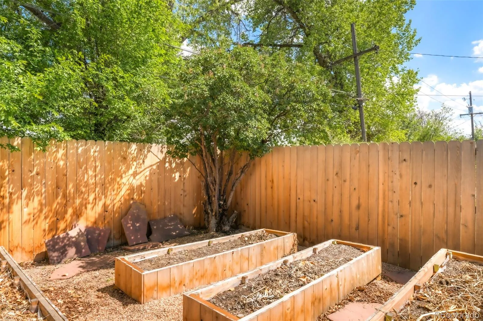 1540 S Dale Court Denver CO 80219 MLS #REC3217115 05082026043227 1600 25