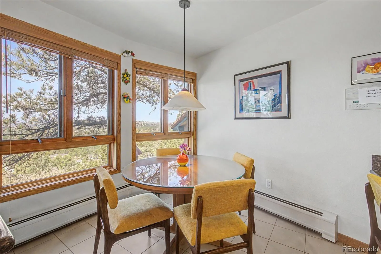 857 Pawnee Trail Castle Rock CO 80108 MLS #REC3221742 05022026161846 1600 12