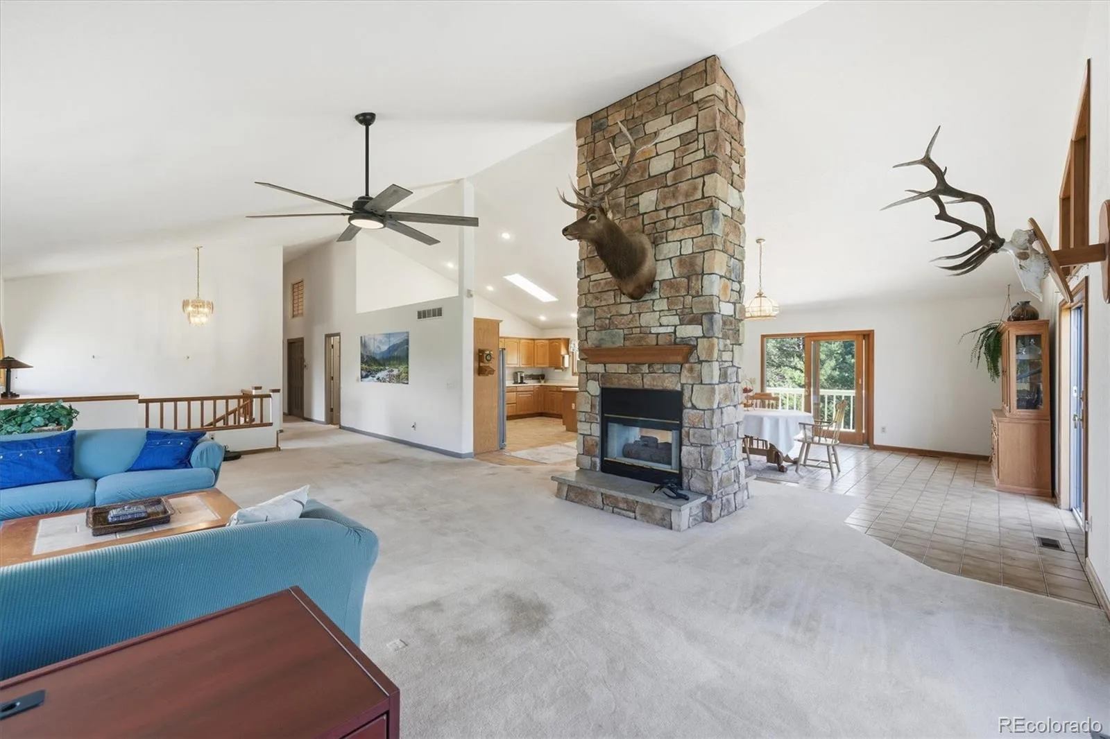 5919 Irish Pat Murphy Drive Parker CO 80134 MLS #REC3223335 06122026072622 1600 10