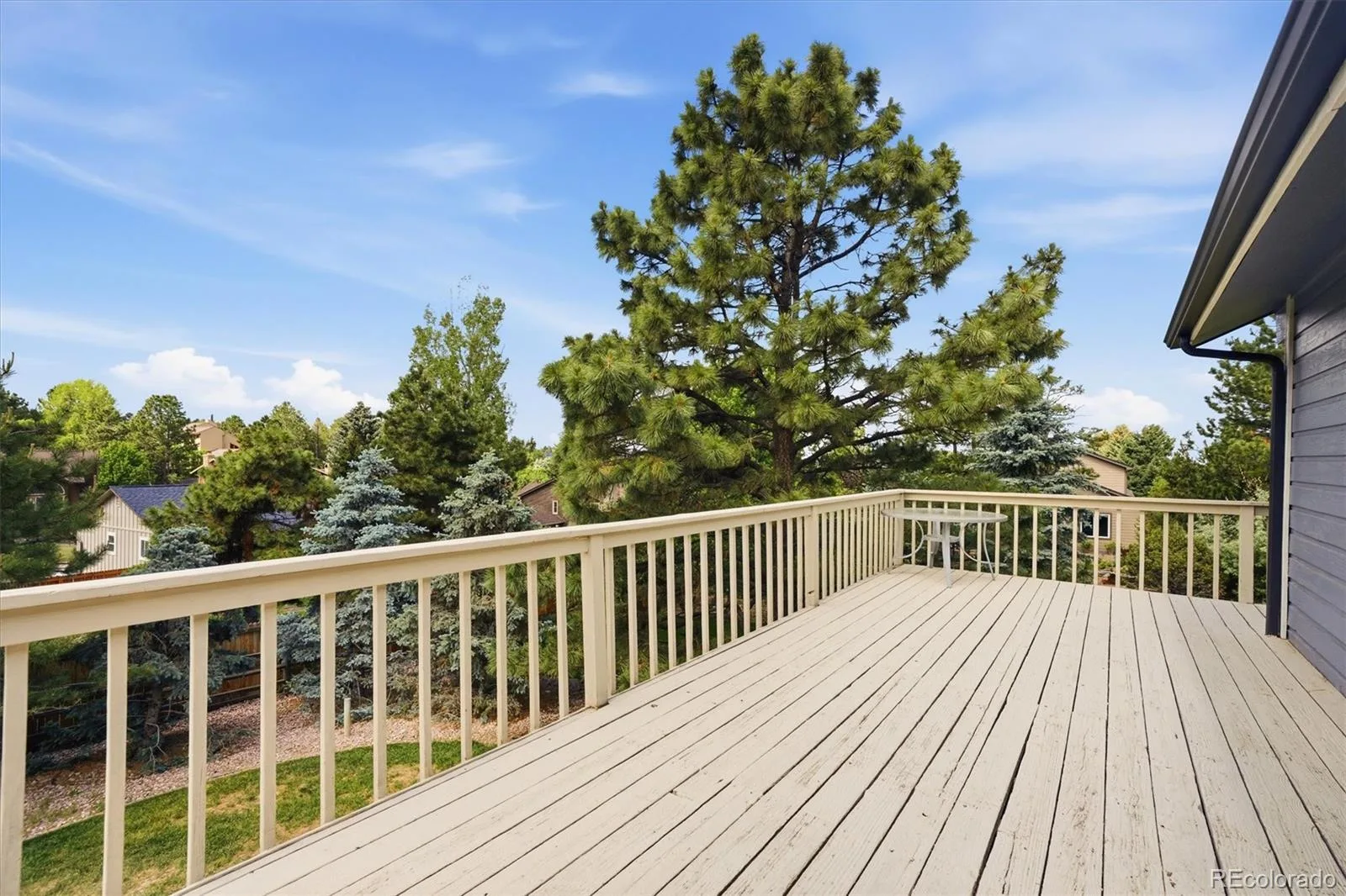 5919 Irish Pat Murphy Drive Parker CO 80134 MLS #REC3223335 06122026072622 1600 38