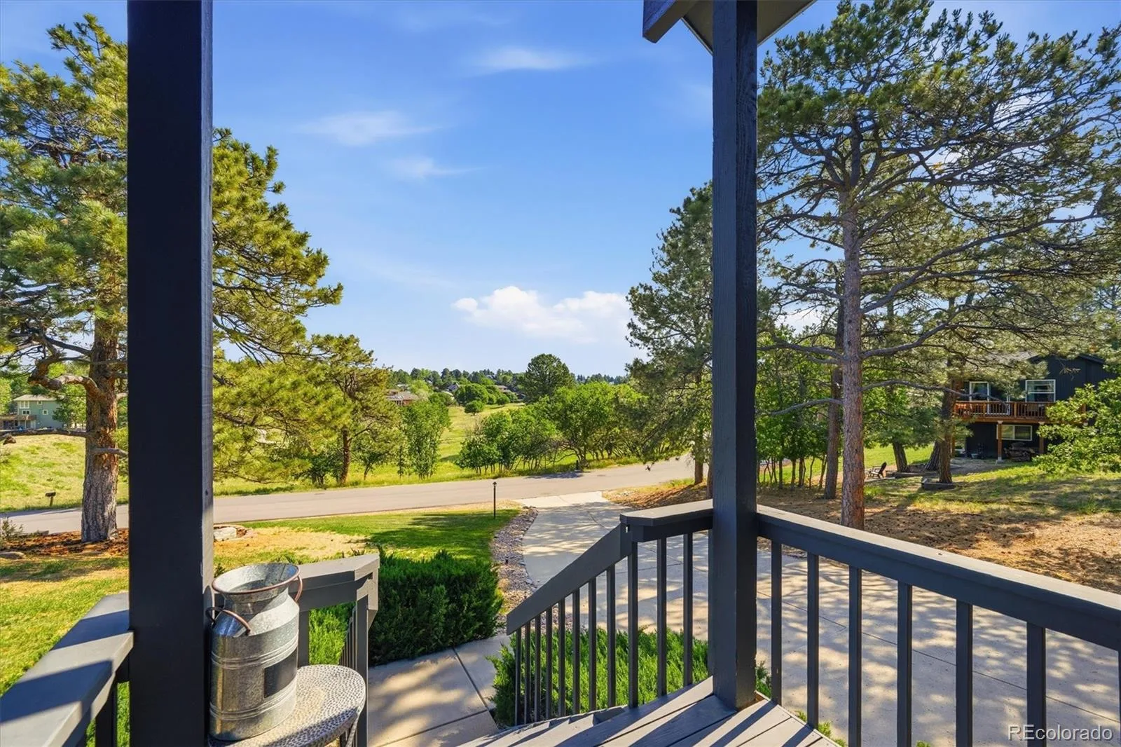 5919 Irish Pat Murphy Drive Parker CO 80134 MLS #REC3223335 06122026072622 1600 5