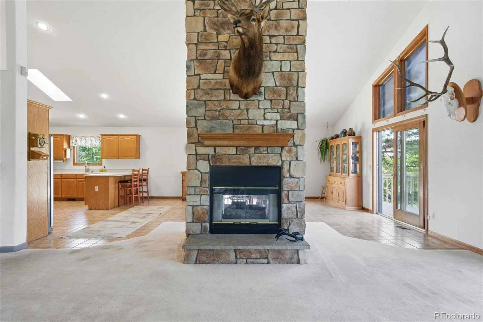 5919 Irish Pat Murphy Drive Parker CO 80134 MLS #REC3223335 06122026072622 1600 9