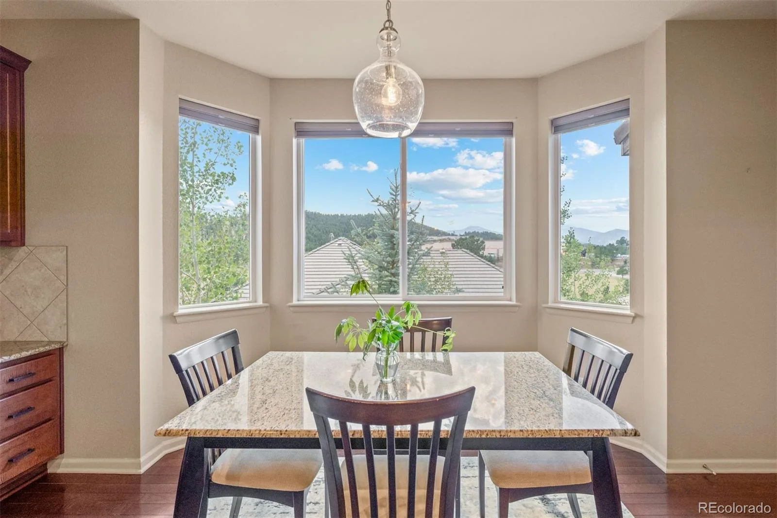 860 Elk Rest Road Evergreen CO 80439 | MLS #REC3225155 08202026014319 1600 9