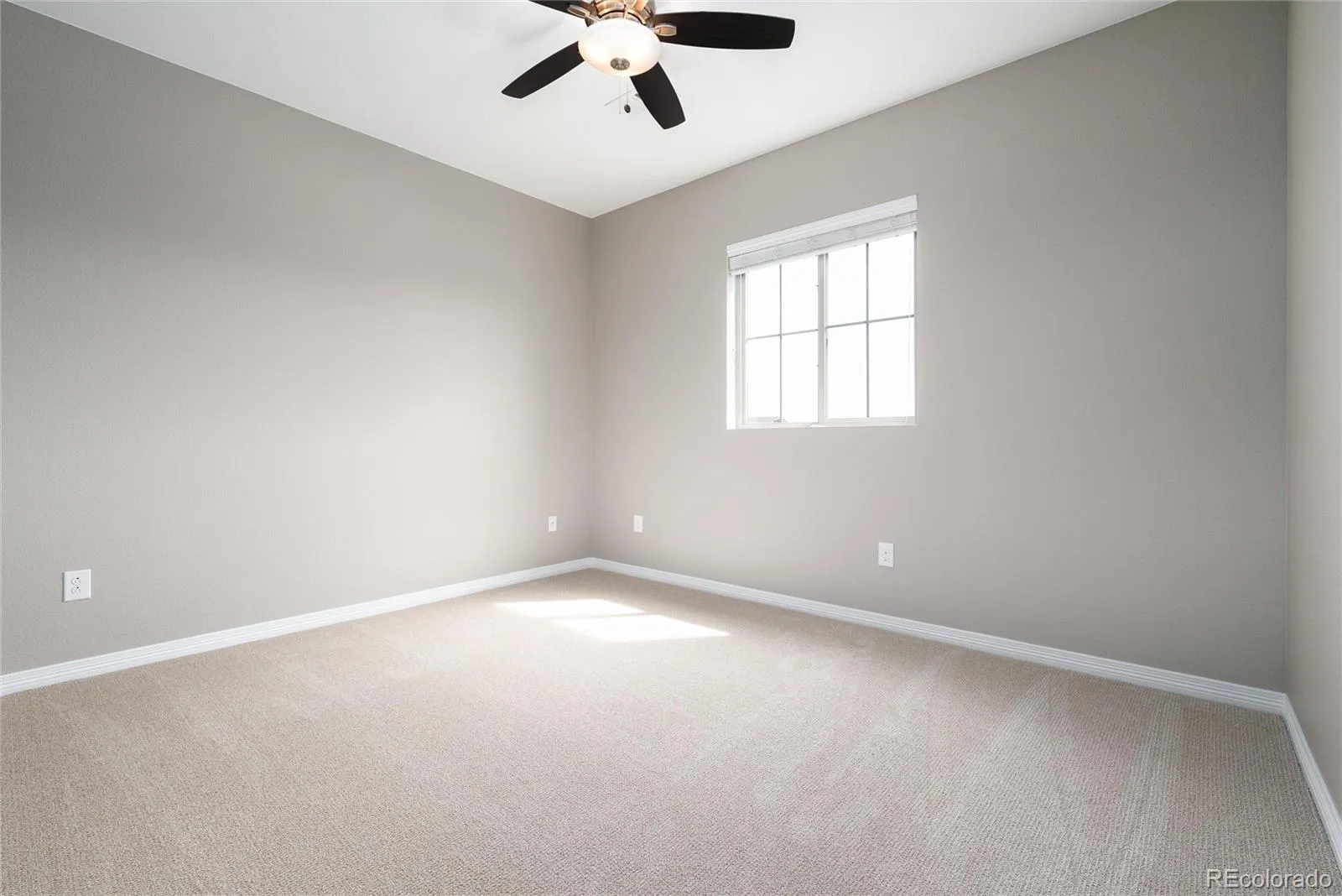 1824 Wright Drive Erie CO 80516 MLS #REC3225611 05272026141125 1600 28