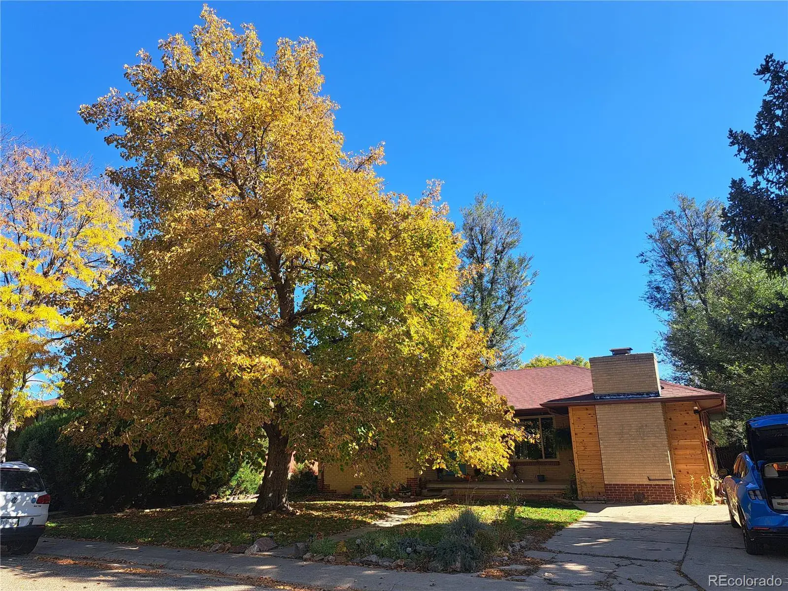 11132025034838 1600 31