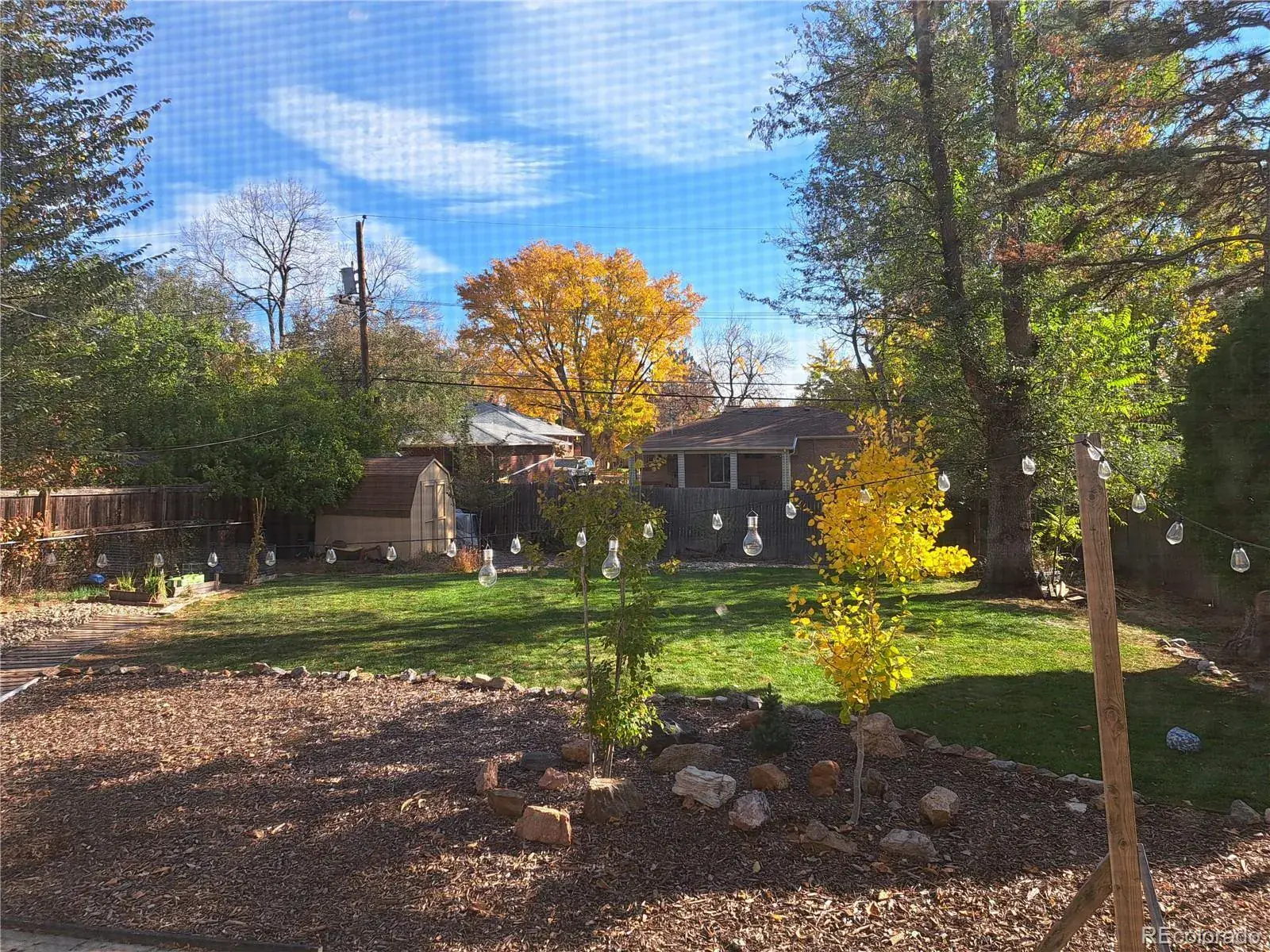 11132025034838 1600 40