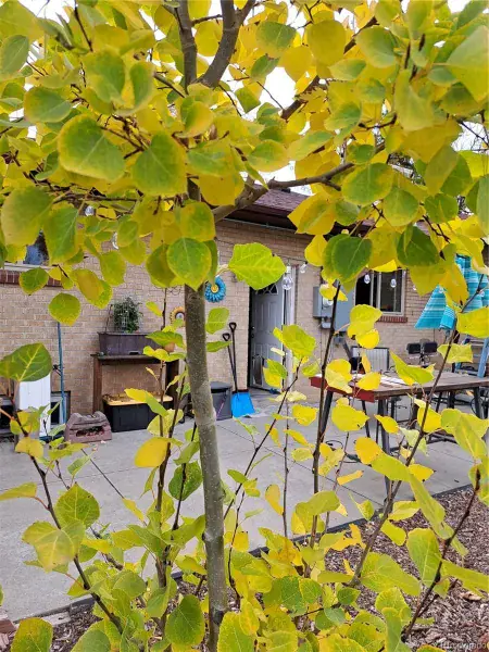 11132025034838 800 35