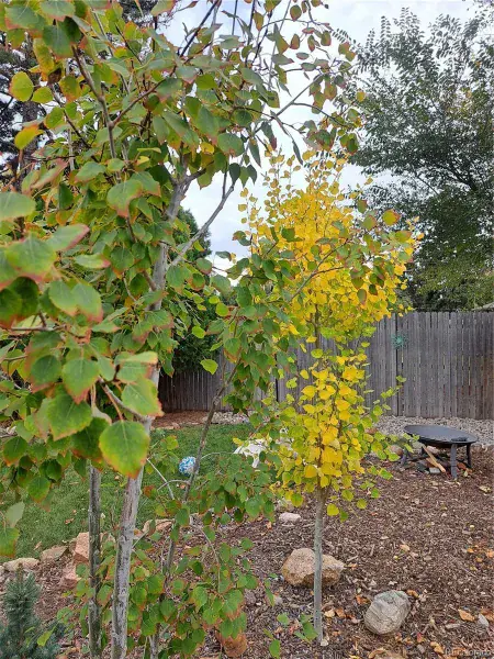 11132025034838 800 36