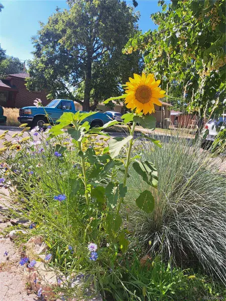 11132025034838 800 39