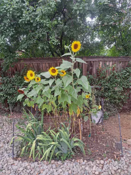 11132025034838 800 42