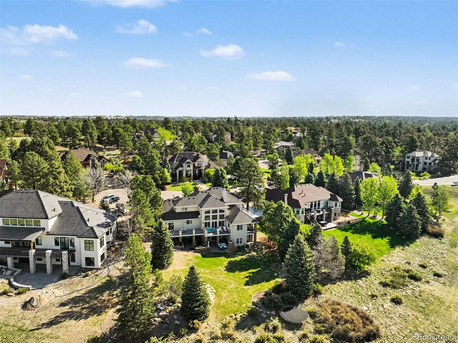 7748 Running Fox Way Parker CO 80134 | MLS #REC3234116 07142026144900 1600 2