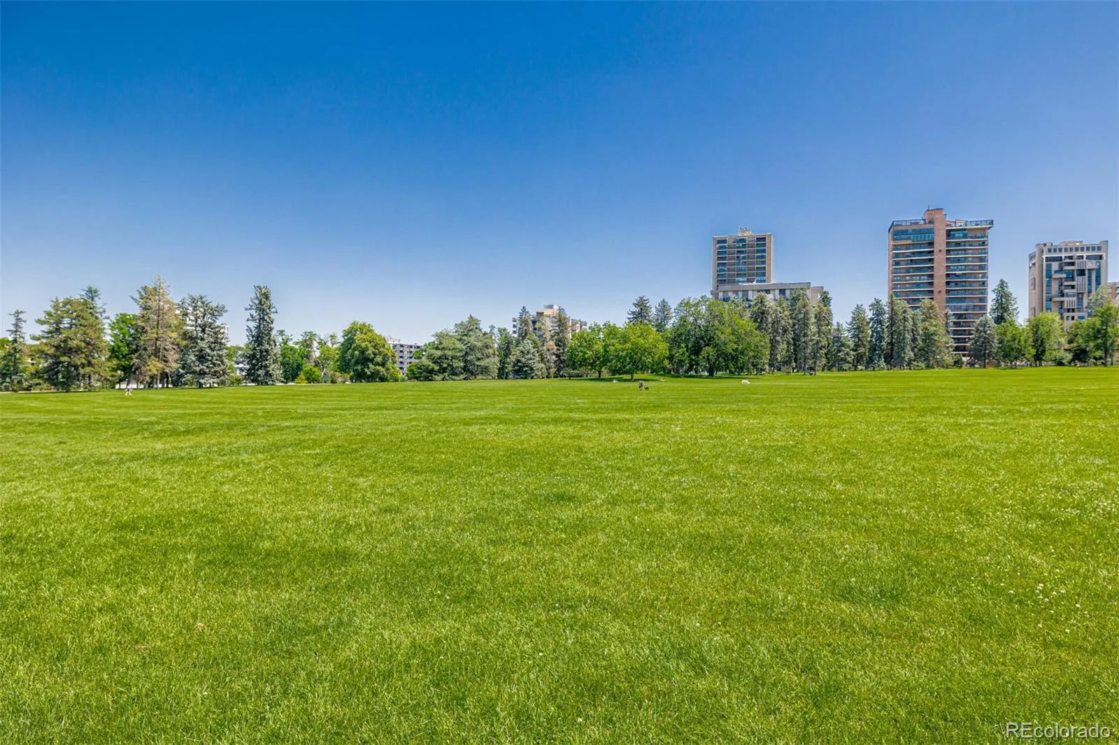 1390 N Emerson Street #101 Denver CO 80218 MLS #REC3234399 05022026161853 1600 27