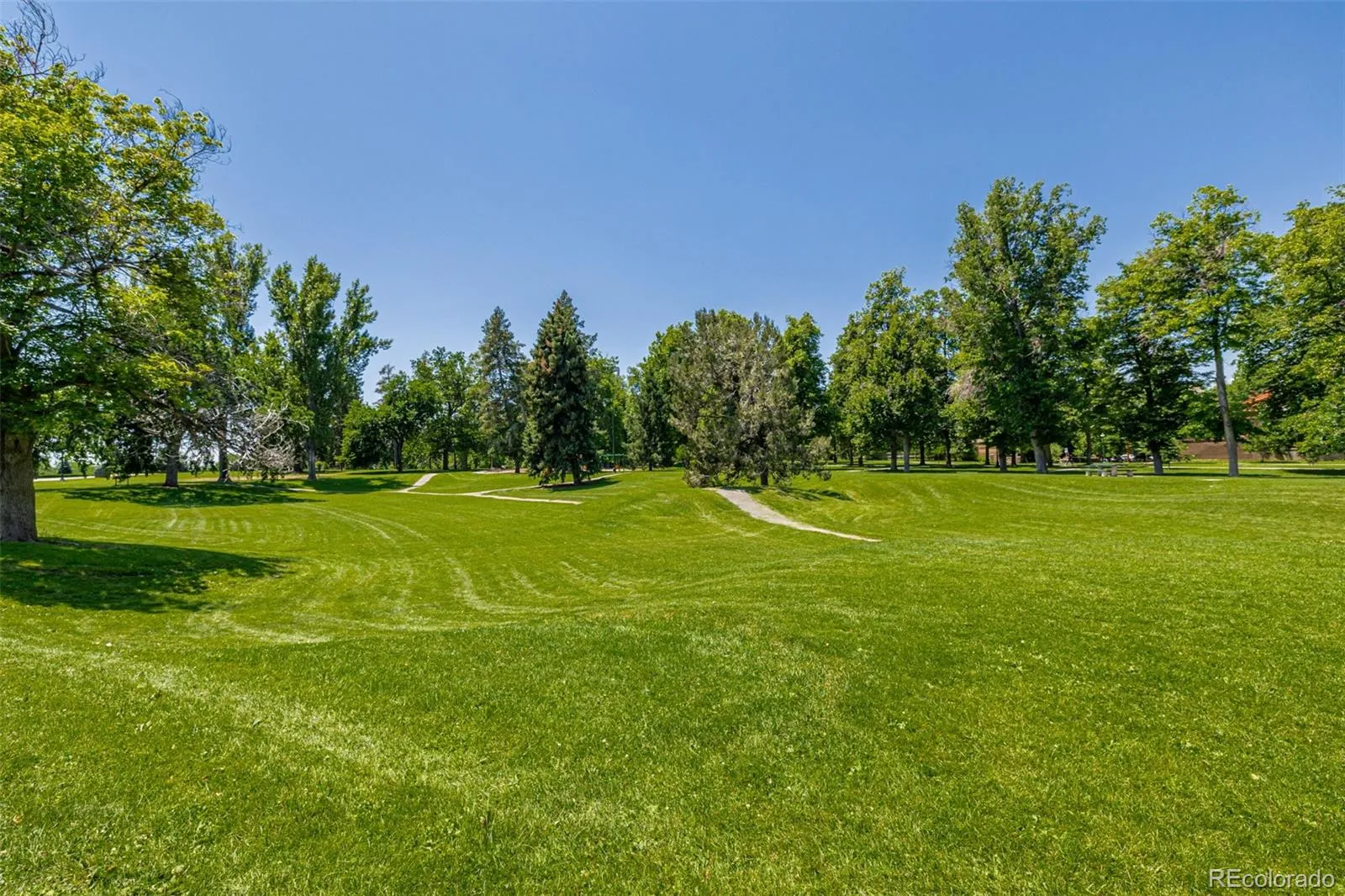 1390 N Emerson Street #101 Denver CO 80218 MLS #REC3234399 05022026161853 1600 28