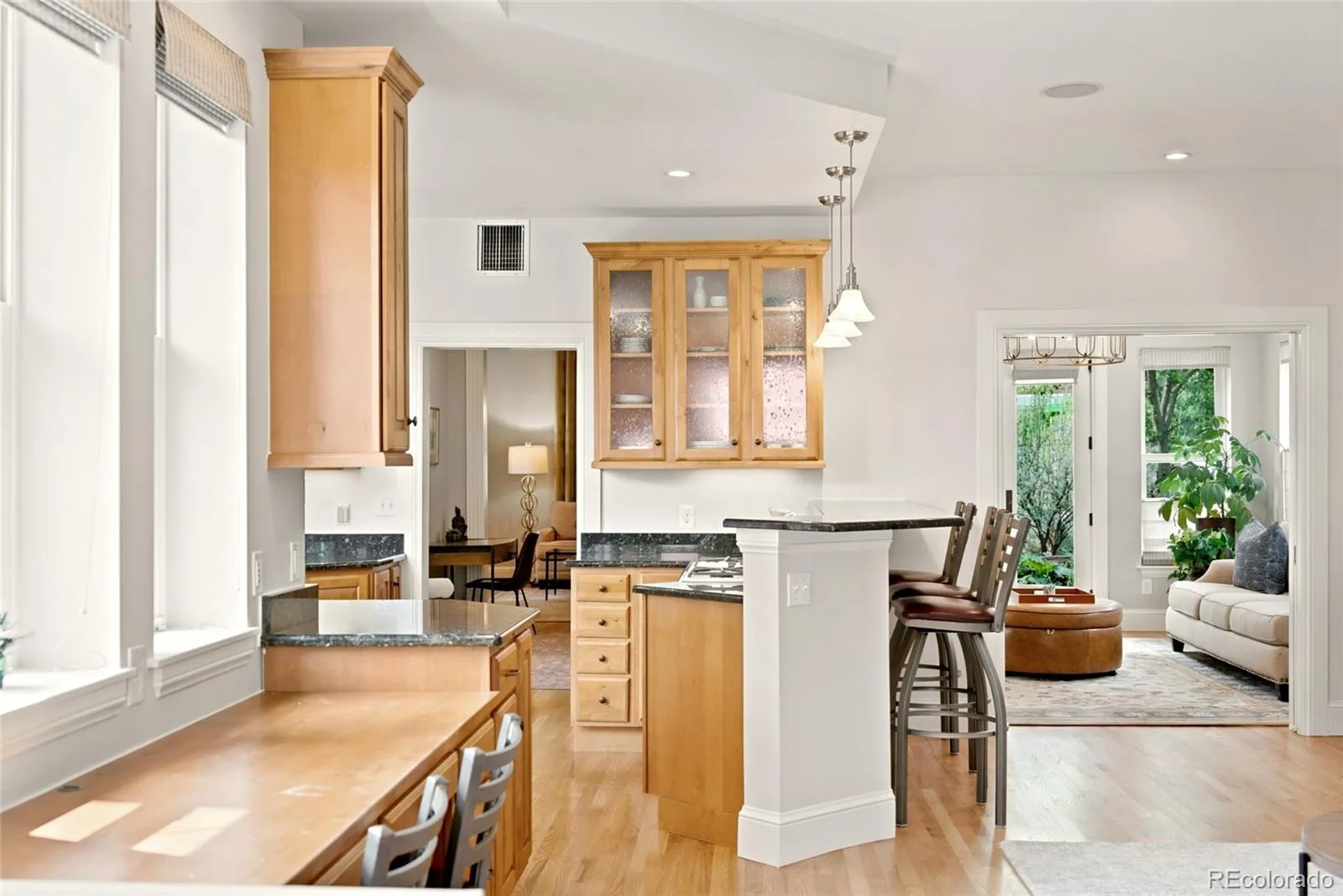 3333 W 31st Avenue Denver CO 80211 MLS #REC3244736 06252026220807 1600 14