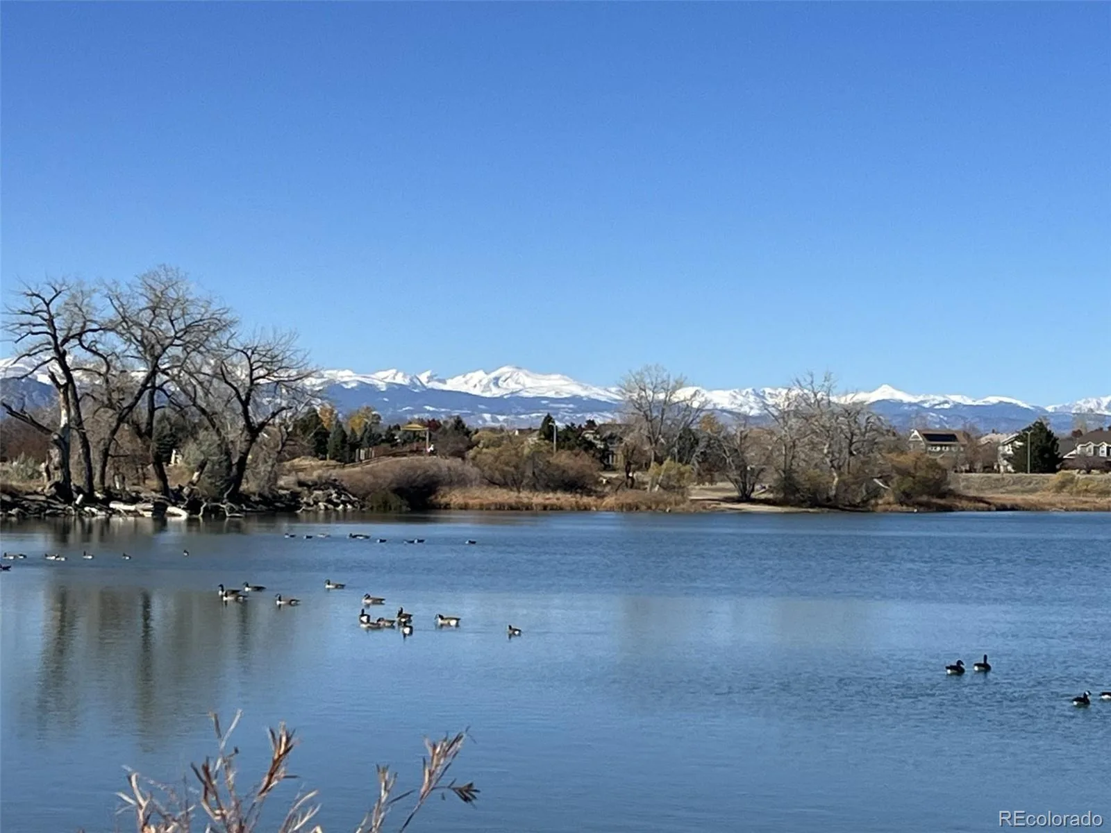 13900 Lake Song Lane #B6 Broomfield CO 80023 | MLS #REC3247935 06192026234506 1600 35