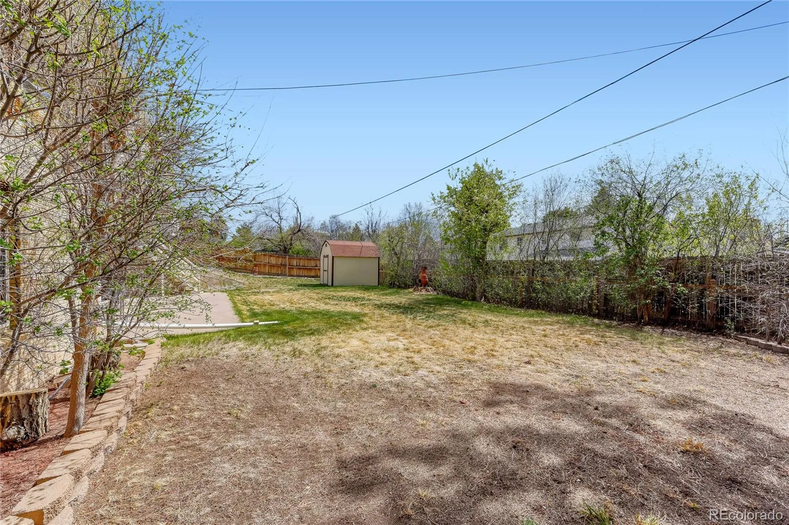 04102026195256 1600 24