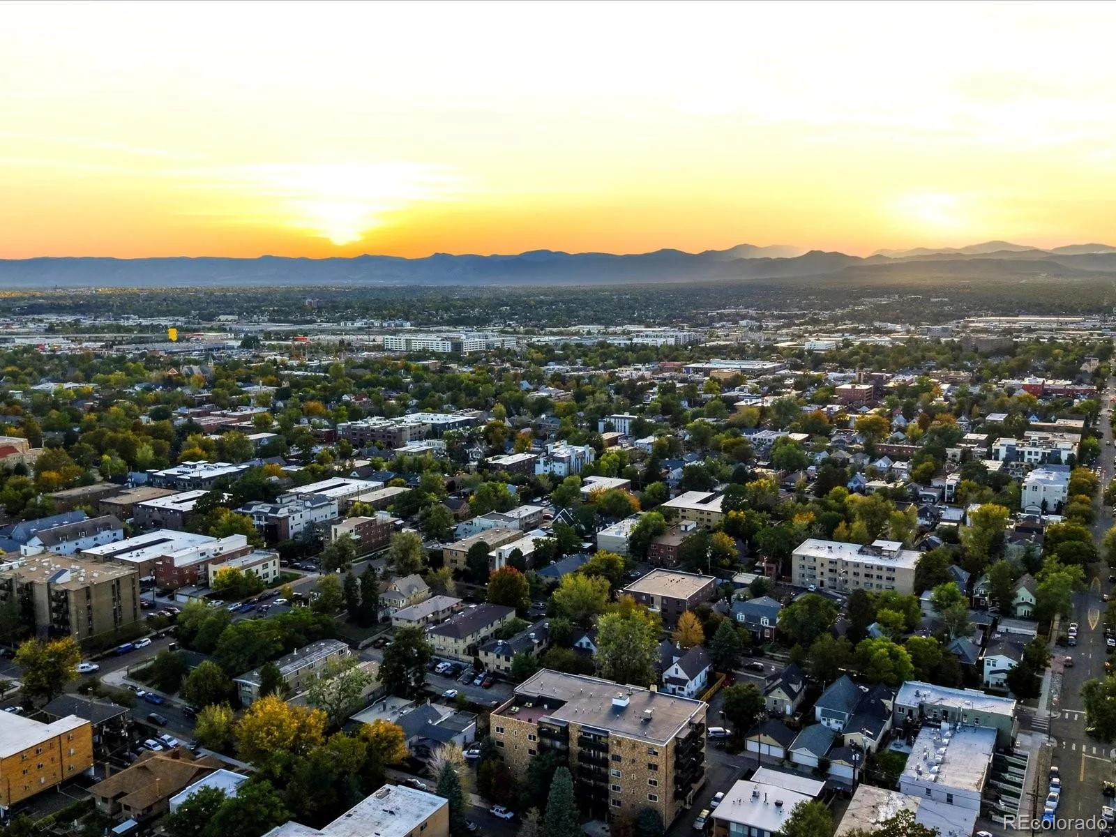 45 N Ogden Street #208 Denver CO 80218 | MLS #REC3258250 10082026170539 1600 45