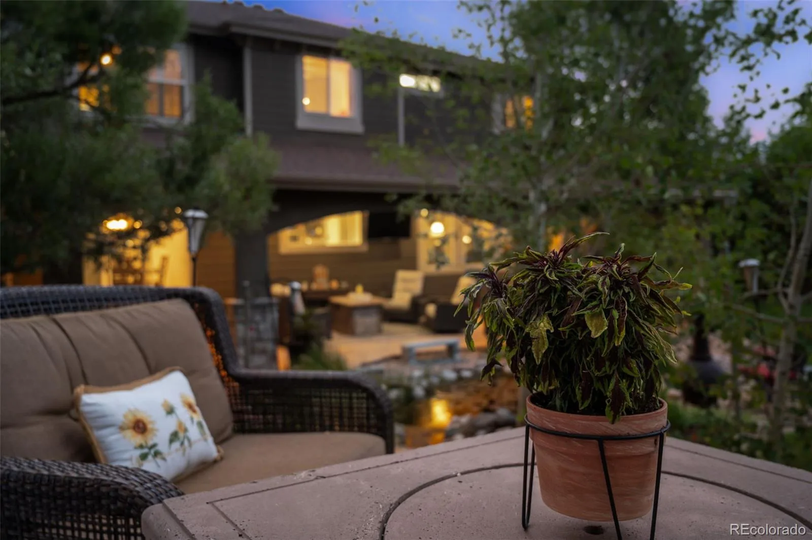 10676 Chandon Place Littleton CO 80126 MLS #REC3262455 07072026223706 1600 45