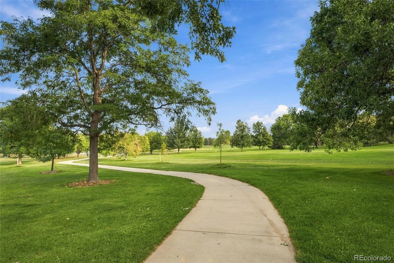 2409 S Leyden Street Denver CO 80222 | MLS #REC3264669 10142026225901 1600 32