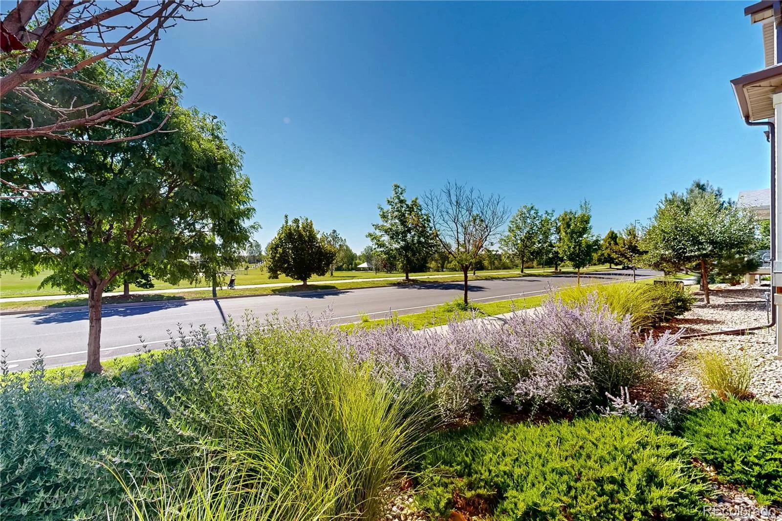 5038 N Andes Way Denver CO 80249 | MLS #REC3284571 08232026231205 1600 27