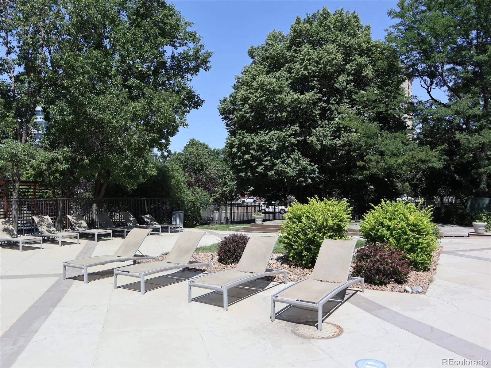 601 W 11th Avenue #504 Denver CO 80204 MLS #REC3285731 06092026194421 1600 32