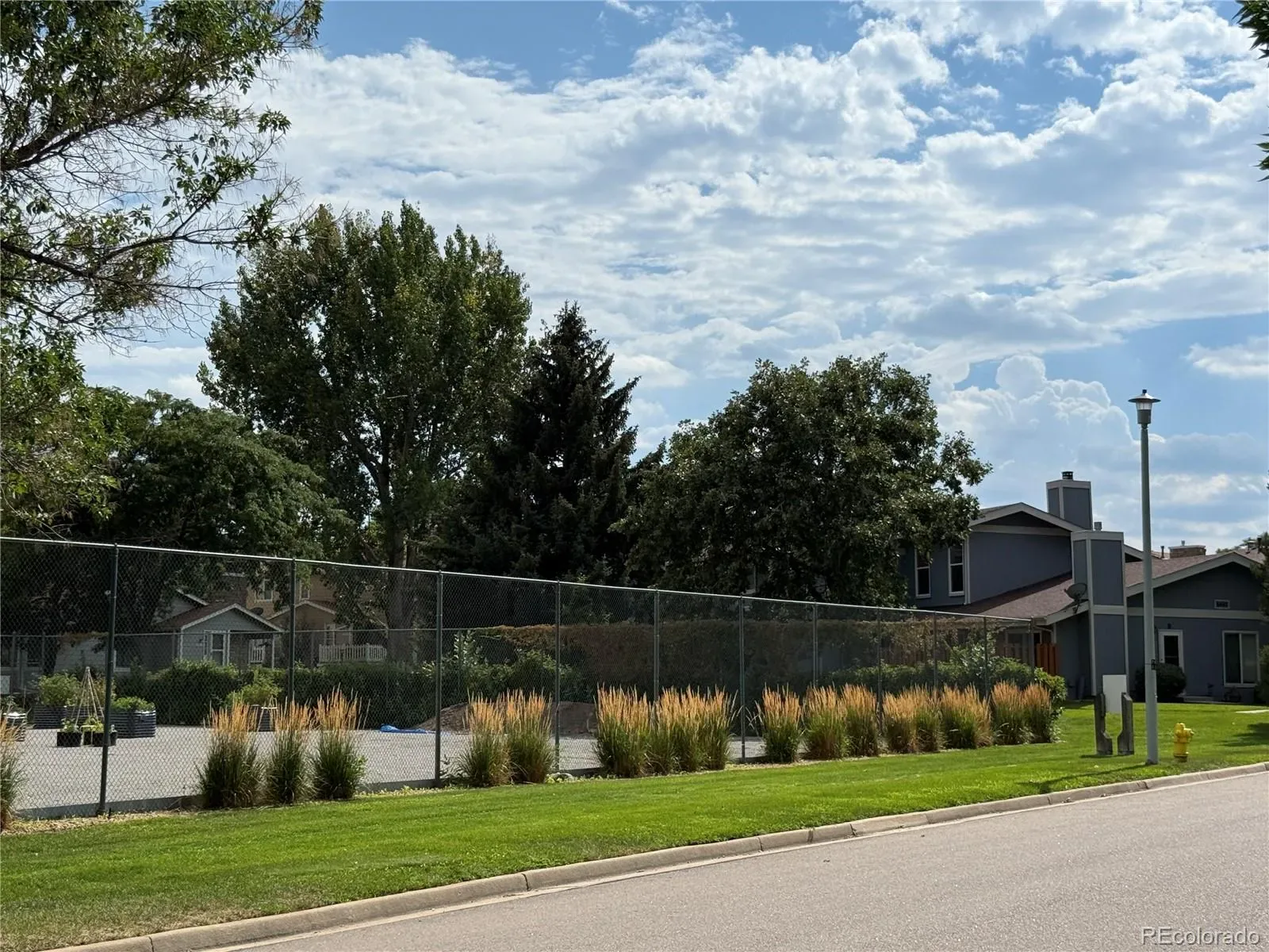 8467 Everett Way #E Arvada CO 80005 | MLS #REC3287727 03212026152352 1600 1