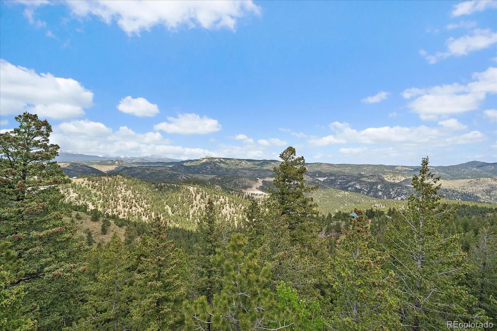 31721 Highway 72 Golden CO 80403 MLS #REC3291845 06242026222546 1600 16