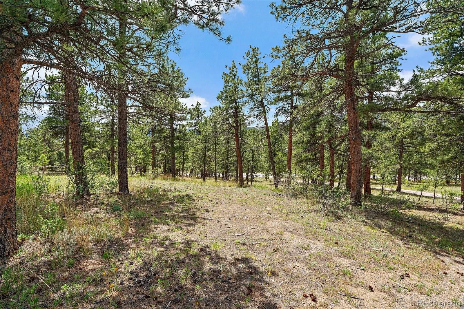 31721 Highway 72 Golden CO 80403 MLS #REC3291845 06242026222546 1600 6