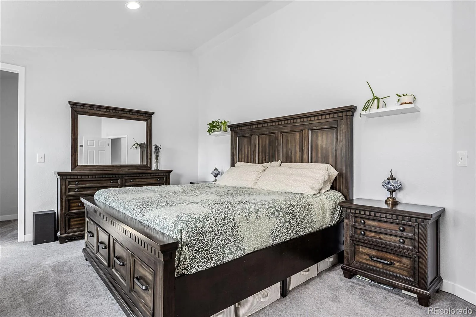 1010 Irving Street Denver CO 80204 | MLS #REC3296098 08272026163536 1600 19