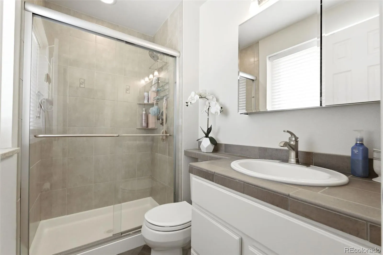 7053 Taft Street Arvada CO 80004 MLS #REC3307760 04242026003950 1600 19