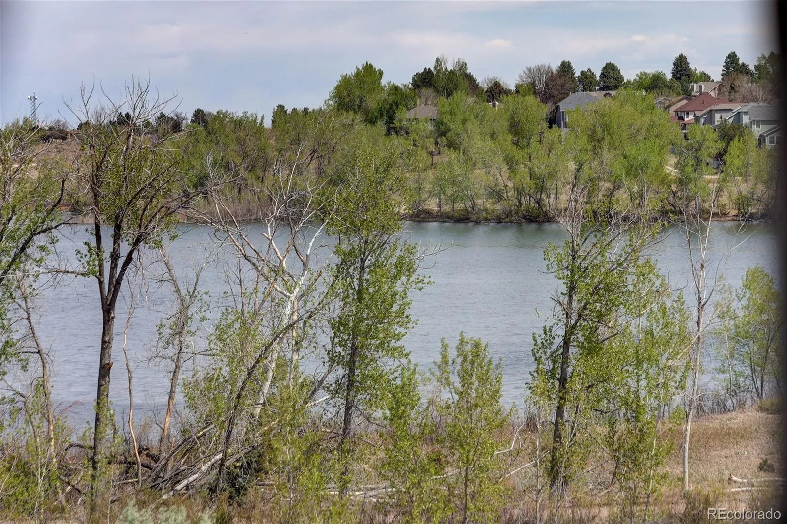 18597 E Union Drive Aurora CO 80015 MLS #REC3308018 05192026010600 1600 2