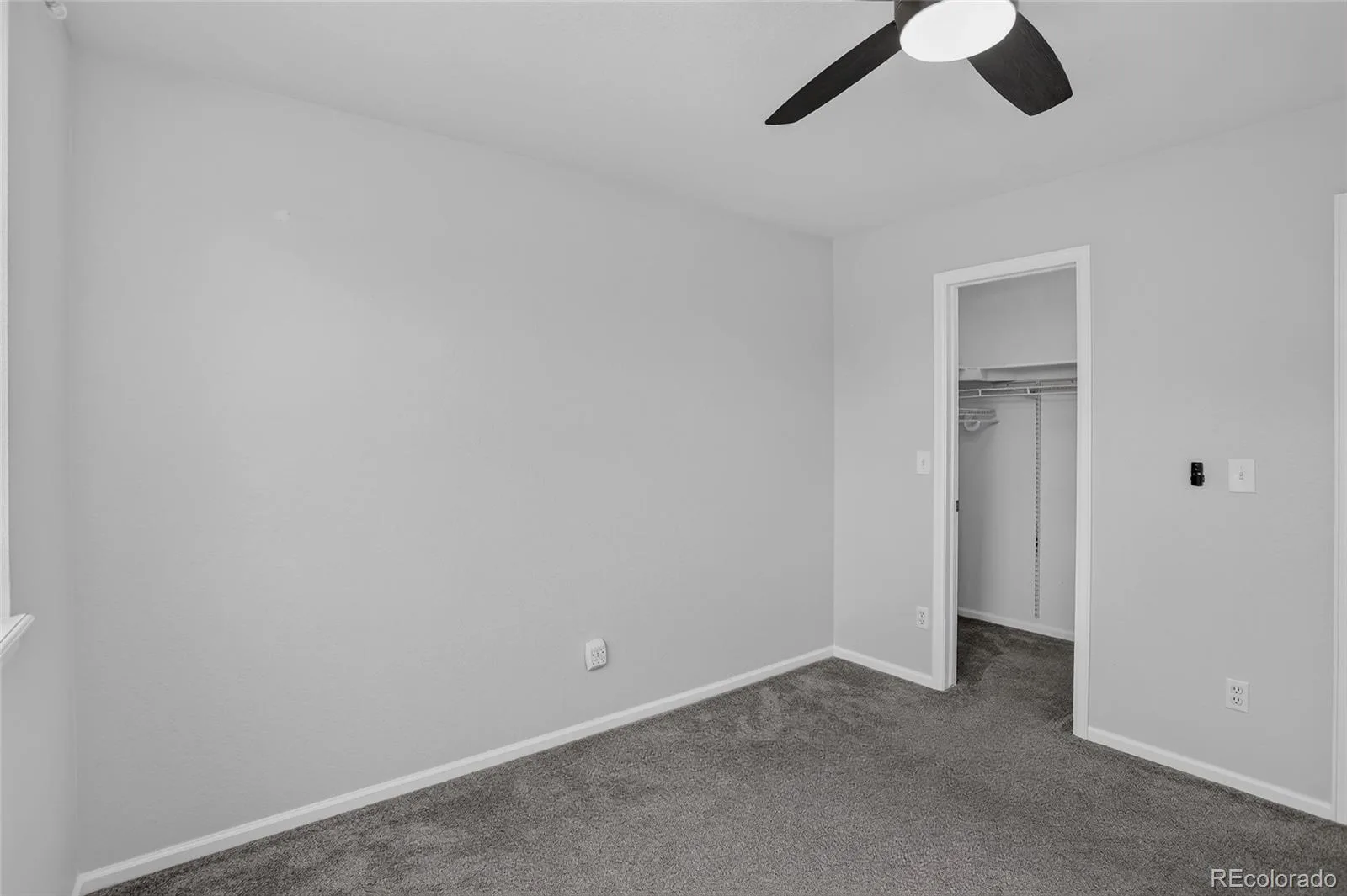 11421 Ebony Street Longmont CO 80504 MLS #REC3319718 07032026180537 1600 22